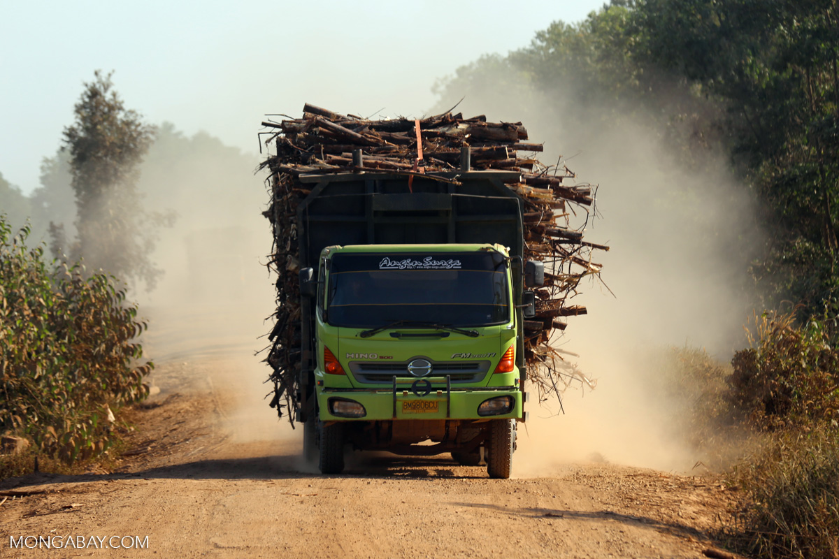 Timber trade watchdog urges Poland to halt imports of Myanmar ‘blood timber’