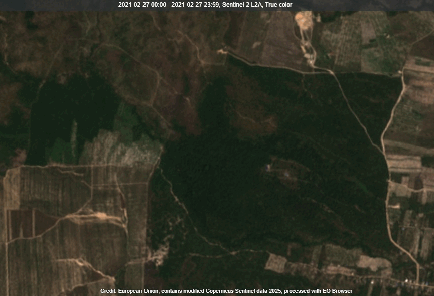 A gif showing the clearings at Metta Forest between 2021 and 2025.