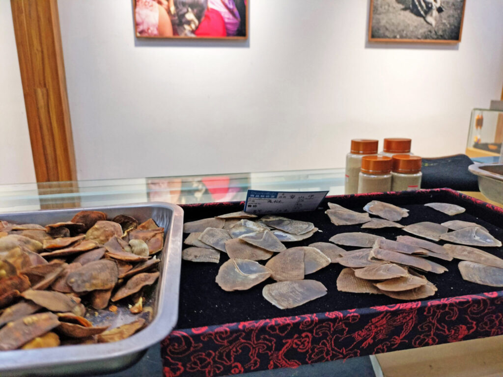 At the Laos Traditional Medicine Hall in Luang Prabang, Mongabay was able to document a vast range of wildlife products, including pangolin scales which are believed to possess medicinal properties, despite being made of keratin. Image by Mongabay.
