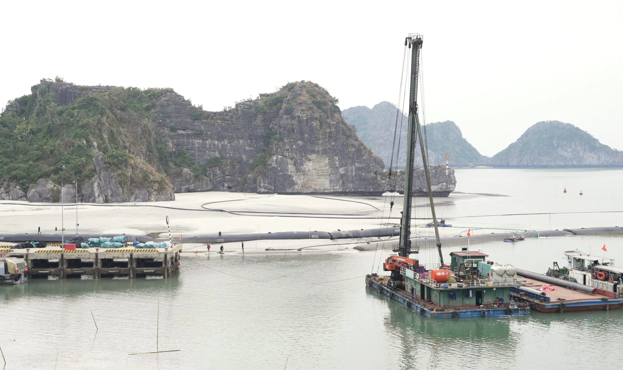 Viet Nam’s mega tourism project threatens langurs, livelihoods