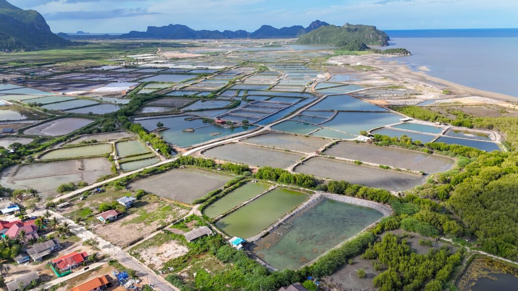 Fish farms, shrimp ponds and plantations in Sam Roi Yot district surround a national park that encompasses wetlands, mangroves and forested hillsides. Image by Carolyn Cowan / Mongabay.