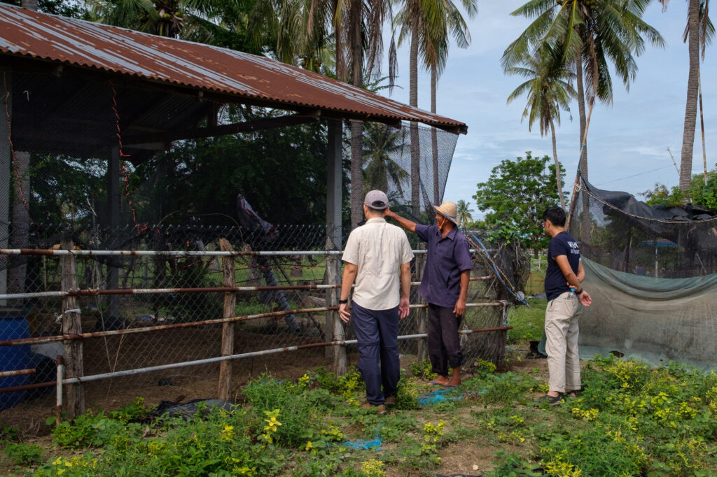 Panthera biologists Rattapan Pattanarangsan and Supawat Khaewphakdee ask chicken farmer Suthon Srimek to describe the issues he’s had with local fishing cats around his pens. Image by Carolyn Cowan / Mongabay.