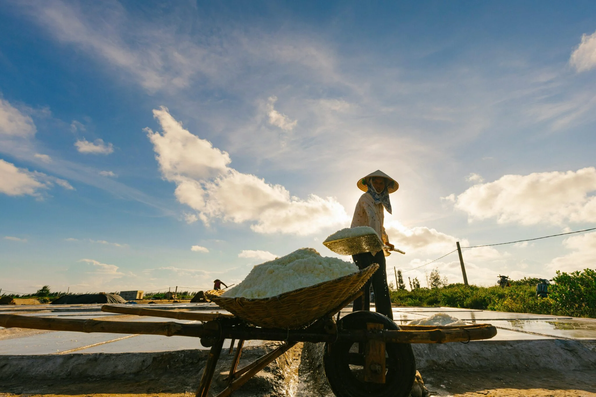 Burning: Viet Nam’s outdoor workers struggle in extreme heat