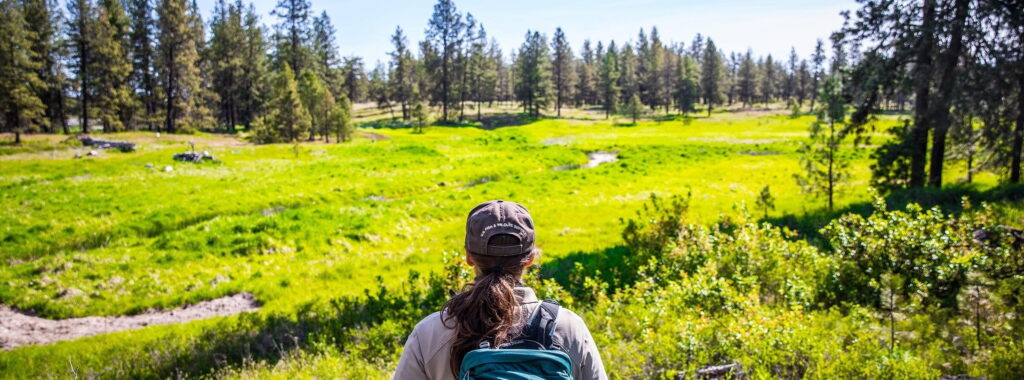 ‘An epidemic of suffering’: Why are conservationists breaking down?