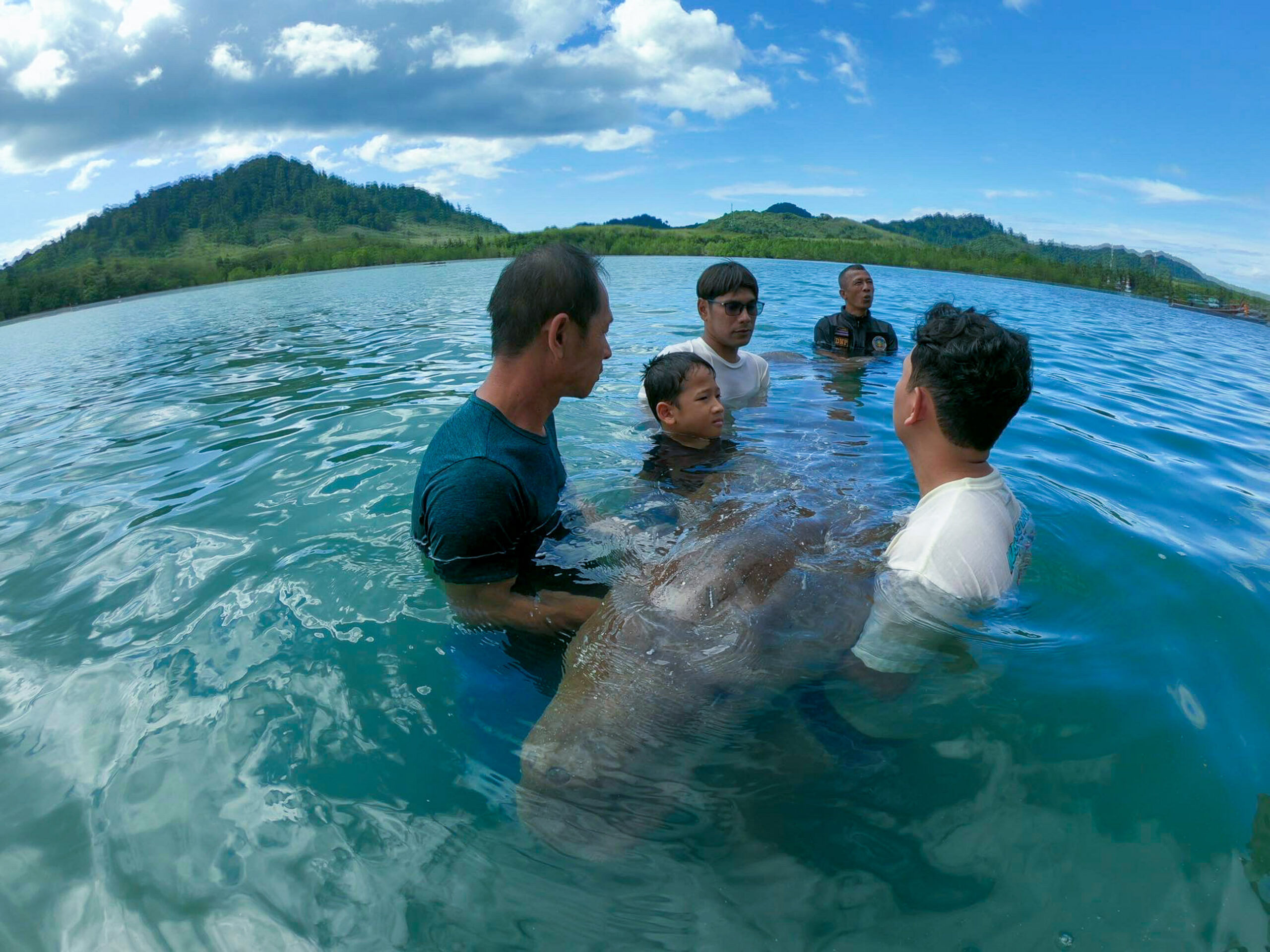 Thai island community rallies to protect beloved dugongs, revive declining seagrass