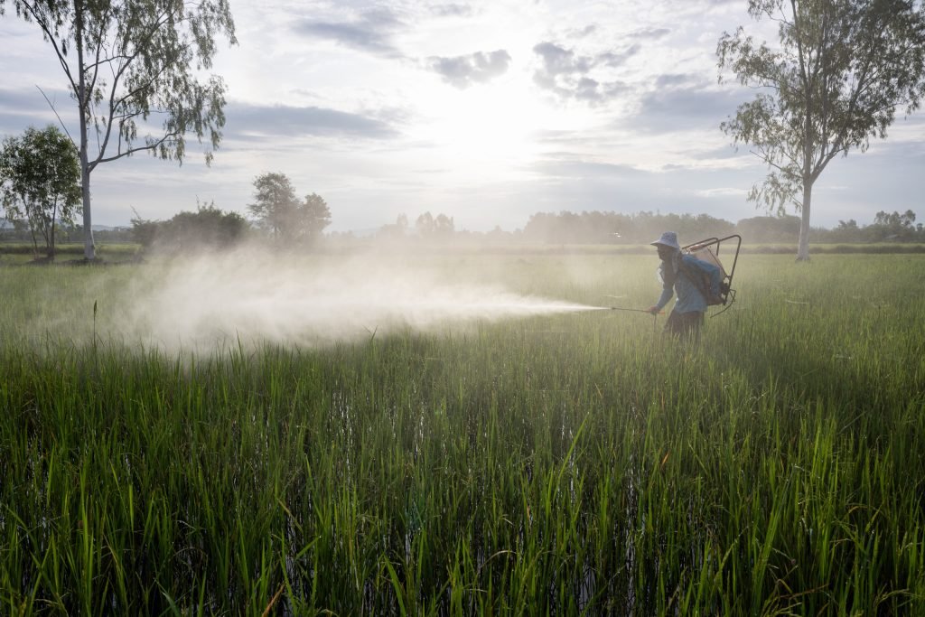 Heavily reliant on pesticides, Thai agriculture is ‘trapped in a vicious cycle’